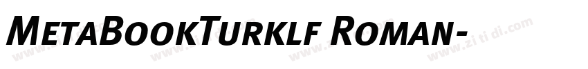 MetaBookTurklf Roman字体转换